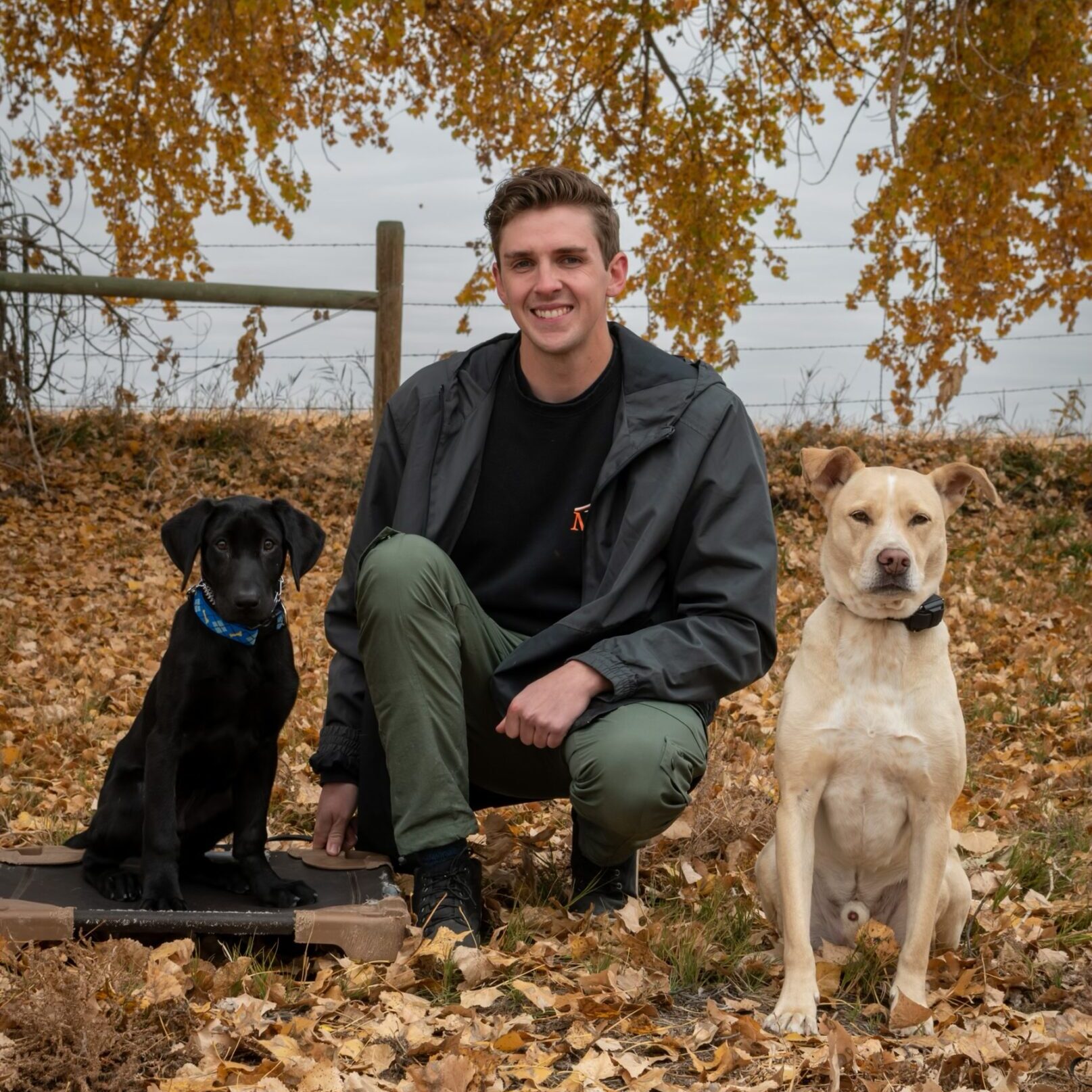 Dylan Two Dogs Leaves